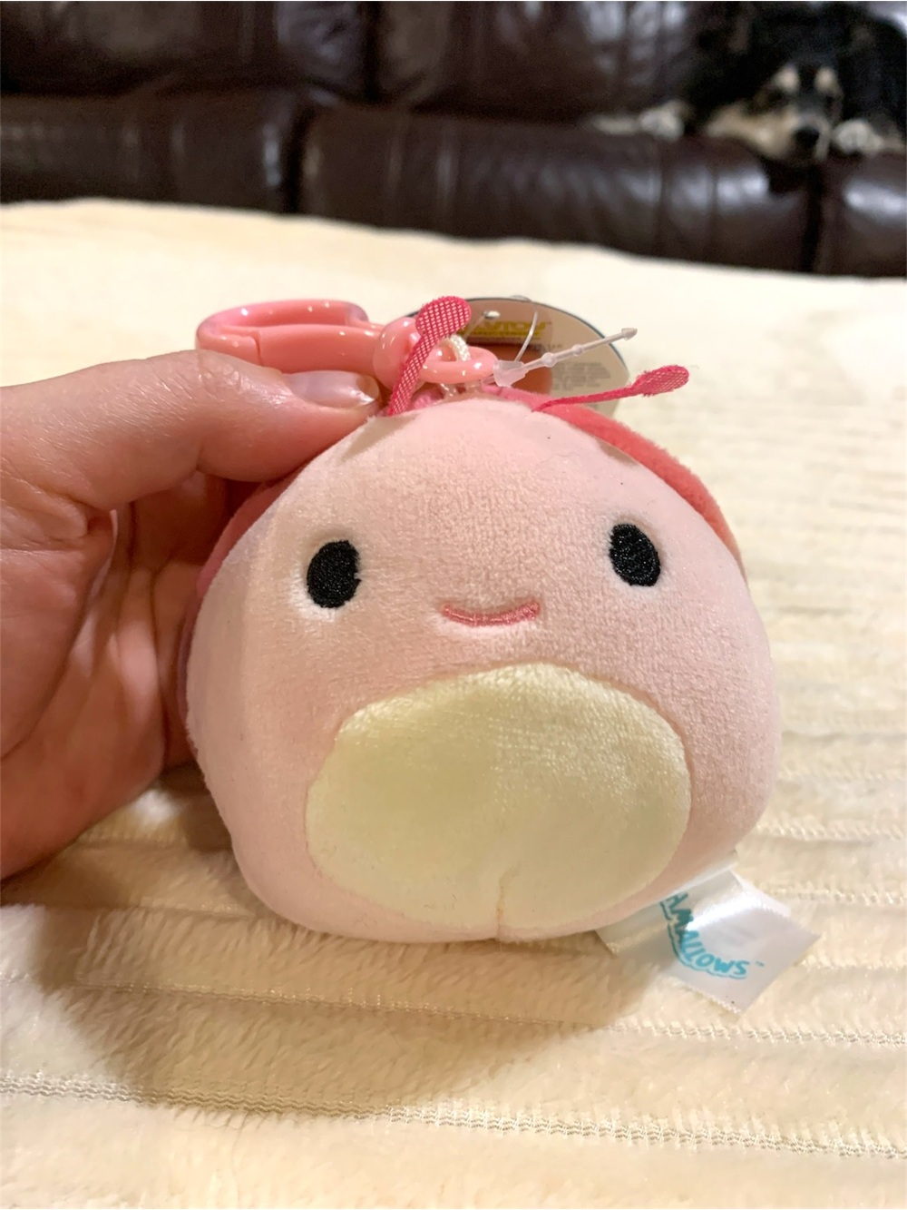 Squishmallows Clip-On Bundle - Picture 3 of 5